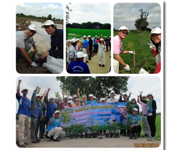 Roadside Planting (NIC)