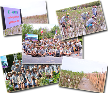 Mangrove Planting (AT-A & ATTG)