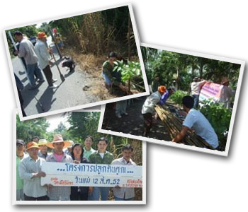 Planting with Pueachnimit Temple (TEP)