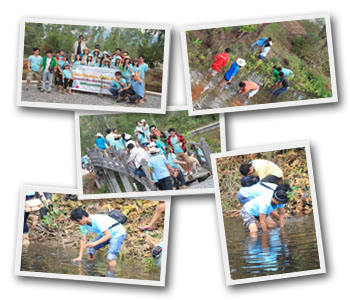 Return Plant to Community (ATFB)