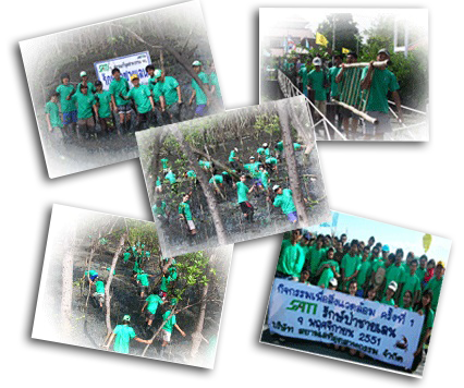 Mangrove at Ang Sila