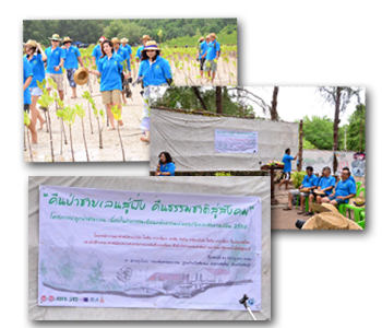 Afforest the Mangrove Forest 2013