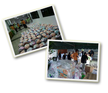 Help Flood Victims (SATI)